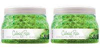 SMELLS BEGONE Odor Eliminator Gel Beads - Air Freshener with Essential Oils - Eliminates Odors in Pet Areas, Bathrooms, Boats, RVs and Cars - Non-Toxic - 12 Ounce (Calming Rain Scent - 2 Pack)