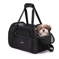 JESPET Soft Sided Pet Carrier Comfort for Airline Travel for Small Animals/Cats/Kitten/Puppy, Black, 17" x 9" x 11.5"