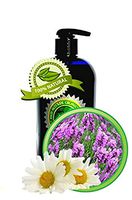 NIGHT DREAMS Body Massage Oil - 16oz
