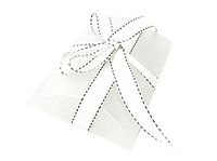 5.25" x 3.5" White Frosted Plastic Mediu Pillow Gift Box for Wedding Baby Shower Party Favors (10 pcs)