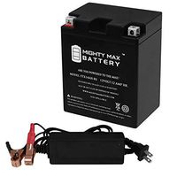 Mighty Max Battery YTX14AH Replaces Ariens 1332 Gravely Comm Riding Mower + 12V 2A Chrgr Brand Product