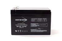 Bright Way Group 12V 12Ah SLA Battery with F2 Terminal