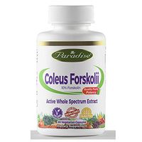 Paradise Herbs Coleus Forskolii 60 Vcap