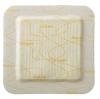 Coloplast Inc Biatain Silicone Foam Dressing 6" L x 6" W (Box of 5 Each)