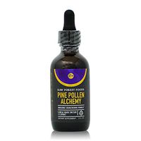 RAW Forest Foods - Pine Pollen Alchemy (2 Ounce) - Endocrine Strengthening Formula (ESF) with Pine Pollen, He Shou Wu, Astragalus Root, Stinging Nettle Root, Chinese Ginseng Root, Cordyceps Tincture