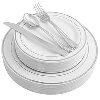 500 Pieces Plastic China Plate Silverware Combo for 100 people WHITE with SILVER Reflection Masterpiece Like