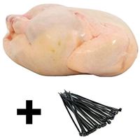 Poultry Shrink Bags -100 clear bags 10" X 16" with free zip ties Freezer Safe (100)