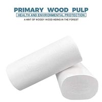 InKach Toilet Paper 6 Rolls, Silky Soft, Ultra Strong 5-Ply Recycled Toilet Tissues, Professional Series Highly Absorbent Multifold Paper Towels for Daily Use (White Toilet Paper 6 Rolls)