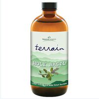 Terrain (Holy Basil)