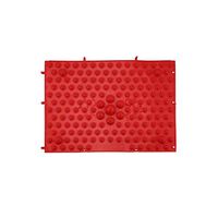 Acupressure Foot Mats Health Care Foot Walking Massage Mat for Pain Relief Stress Relief Acupressure Shiatsu Blanket,Red