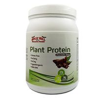 Holly Hill Health Foods, Vegan Plant Protein Powder, Chocolate, 1.1 Pound