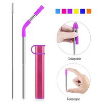 Reusable Collapsible Straw, Portable Stainless Steel Drinking Straw with Case, Straw Tip and Cleaning Brush for Travel, Party, Outdoor and Home Use (Red Case Purple Tip)
