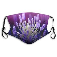 Bgorhl Fashion Face Cover Adjustable Elastic Band Hypoallergenic Face and Nose Cover for Pollen Smog Climbing - Anti Pet Hair Allergy (Praise)