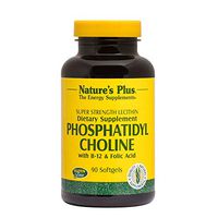 NaturesPlus Phosphatidyl Choline - 90 Softgels - Super Strength Lecithin Supplement with Vitamin B12 & Folic Acid, Supports Brain & Liver Health - Gluten-Free - 90 Servings