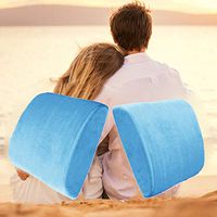Bookishbunny 2 Pack Memory Foam Lumbar Support Back Pillow Pain Relief Office Car Cushions (LightBlue)
