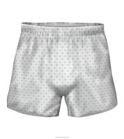 Prevail Boxers for Men [PREVAIL BOXER M BRF LG-XL]