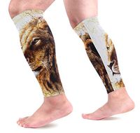 LEVEIS Beautiful Painting of Lion Head Calf Compression Sleeves,Leg Performance Support for Shin Splint Calf Pain Relief Men & Women Guards Sleeves for Running Cycling 1 Pair