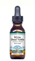 White Dead Nettle - Glycerite Liquid Extract (1:5) - No Flavor (1 fl oz, ZIN: 428346) - 3 Pack