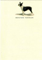 Boston Terrier Note Cards with Envelopes Set of 12
