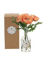 Palais Royal 5.4-Oz. Botanical Diffusers, Peach Rununculus