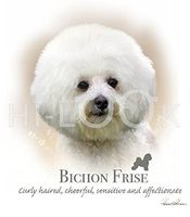 Hi-Look Microfiber Cleaning Cloth, dog design - Bichon Frise