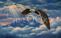 Hi-Look Microfiber Cleaning Cloth - Above the Cloud - Eagle