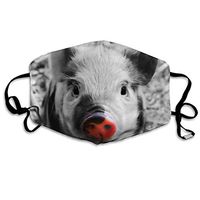 Pet Splash Sweet Piglet Red Nose Pig Animal In The World Reusable Moisture Wicking Earloop Face Masks For Women's Washable Skate Nose Cover - Adjustable Elastic Band