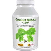 Andrew Lessman Ginkgo Biloba 120-240 Capsules – Standardized Extract to Maintain Flow of Oxygen and Nutrients to Fuel The Brain. Supports Brain, Memory and Cognitive Function. No Additives