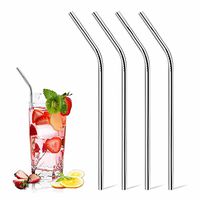 InSassy (TM) Set of 4 Stainless Steel Drinking Straw