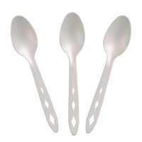 Earth's Natural Alternative Compostable Spoon (100 Count), White