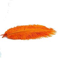 KOLIGHT20pcs Ostrich Feather Orange 10"-12" Natural Feathers Wedding, Party,Home,Hairs Decoration