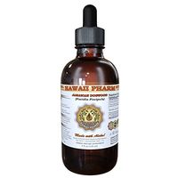 Jamaican Dogwood Liquid Extract, Jamaican Dogwood (Piscidia Piscipula) Tincture 4 oz by HawaiiPharm