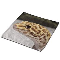 Leopard Gecko Kitchen Towel Microfiber Cleaning Cloth Absorbent Hand Towel for House Kitchen Car