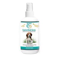 Big Mare Canine Body Spray : Antibacterial/Antifungal. Clinically Proven Effective On Hotspots, Yeast, Dermatitis, Staph, Ringworm, Hair Loss, And More. Veterinary Approved & Recommended. (4 oz)