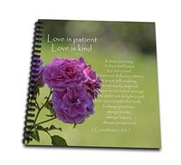 3dRose Pretty Pink Roses Love is Patient Bible Verse-Inspirational-Memory Book, 12-inch (db_110502_2)
