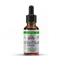 Forsythia Tincture, Organic Forsythia Extract (Lian Qiao, Forsythia Suspensa) Health Supplement, Non-GMO in Cold-Pressed Organic Vegetable Glycerin 2 oz, 670 mg