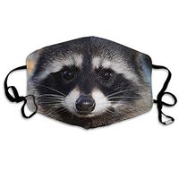 Mouth Mask Northern Raccoon's Face Fashion Earloop Face Mask For Kids Teens Men Women Winter Summer