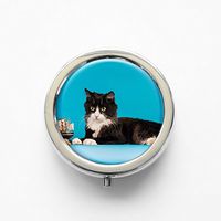 RhyNSky Animal Black Cat Mini Portable Pocket Pill Box Case Holder for Purse, 3 Compartments, Silvery, FS104