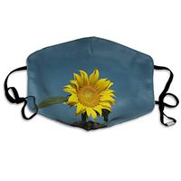 Blue Sky Summer Yellow Petals Sunflower Nature Dust Masks For Women Mouth Mask Light Mouth Masks For Kids Earloop Mask Fashion Washable And Reusable With Adjustable Ear Loops