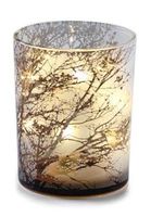 Zodax Medium Tree Etched LED Glass Murricane