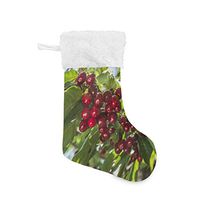 Christmas Socks Fertilizing Cherry Trees Personalized Santa Stocking 2pcs Set Gift Kids Fireplace/Restaurant/Hotel/Club/bar for Xmas Tree Decor