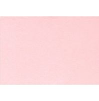 #17 Mini Flat Card (2 9/16 x 3 9/16) - Candy Pink (500 Qty.)