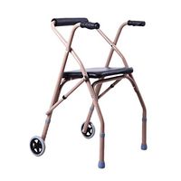 Elderly Walker Disabled Walker Auxiliary Walker