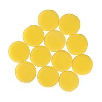 WINOMO 24pcs Waxing Polish Wax Foam Sponge Applicator Pads for Car Windshield Window