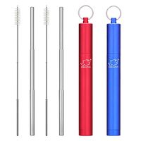 Dakoufish 2 Pack 9 Inch Reusable Metal Straws Collapsible Stainless Steel Drinking Straw Portable Telescopic Travel Straw with Case & Cleaning Brush（9inch，Red+Blue）