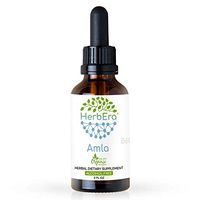 Amla B60 Alcohol-Free Herbal Extract Tincture, Organic Amla (Emblica officinalis) Dried Fruit (2 fl oz)