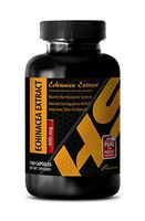Digestive aid - ECHINACEA Extract - Echinacea Extract - 1 Bottle 100 Capsules