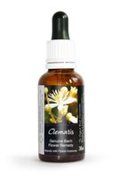Clematis Bach Flower Remedy Large 30ml. Genuine Traditionally Made Essence