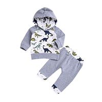 GoodLock Baby Boys Girls Clothes Set Infant Cartoon Dinosaur Hooded Tops Pullover Pants Outfits 2Pcs (Gray, 6 Months)