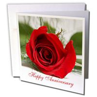 3dRose Happy Anniversary - Greeting Cards, 6 x 6 inches, set of 12 (gc_3655_2)